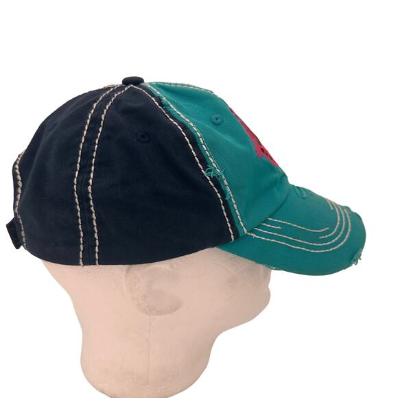 Catchfly Southwestern Cactus Distressed Baseball Hat - Picture 6 of 9